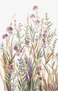 Campos de Rosa Silvestre I — Jensen, Asia