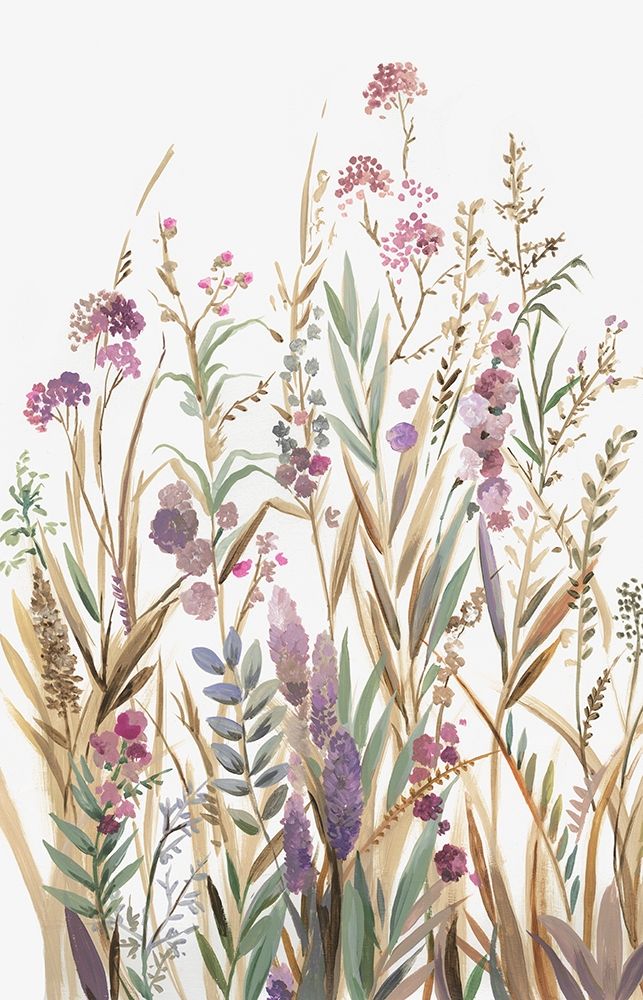 Campos de Rosa Silvestre I — Jensen, Asia