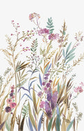 Campos de Rosa Silvestre II — Jensen, Asia