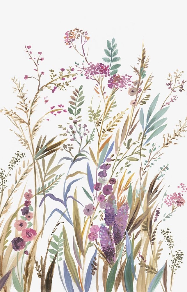 Campos de Rosa Silvestre II — Jensen, Asia