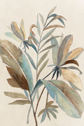 Trópicos Vintage I — Jensen, Asia