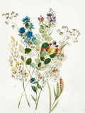 Flores Delicadas I — Jensen, Asia