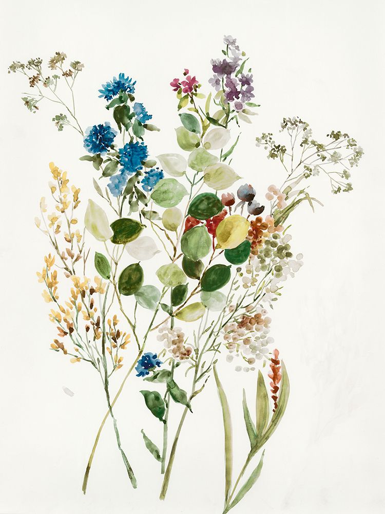 Flores Delicadas I — Jensen, Asia