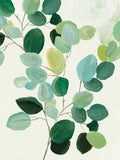 Ramo de Verde II — Jensen, Asia