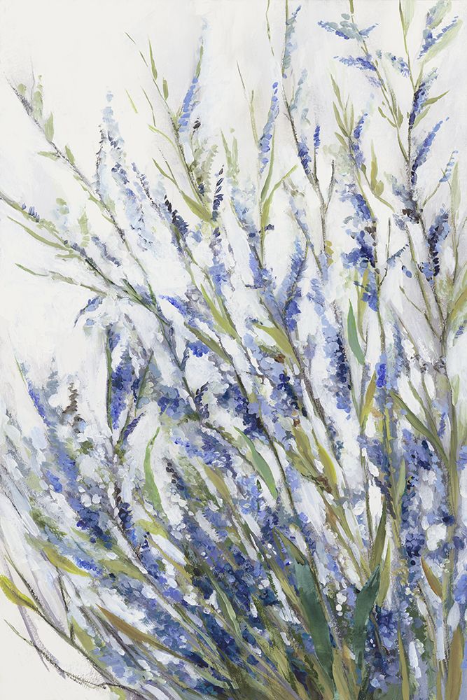 Floreio de Lavanda — Jensen, Asia
