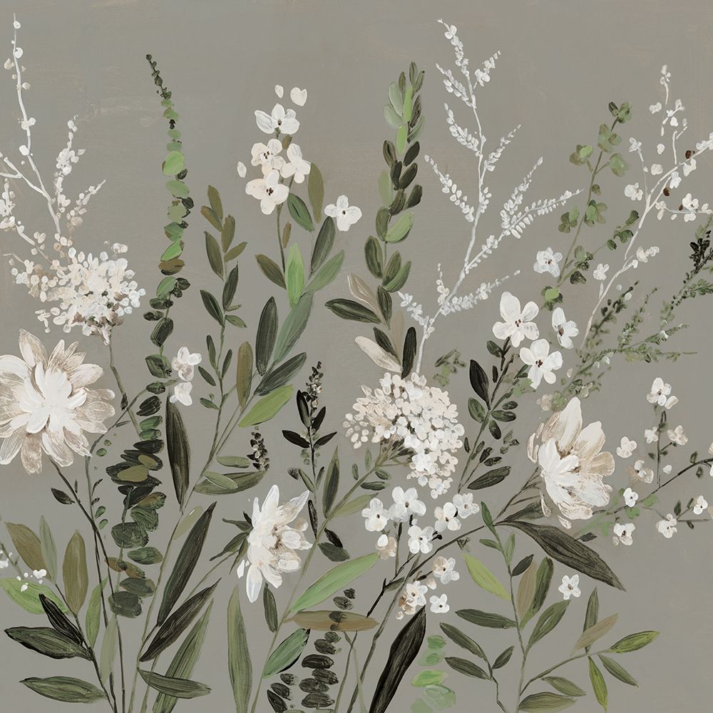 Beleza Silenciosa — Jensen, Asia
