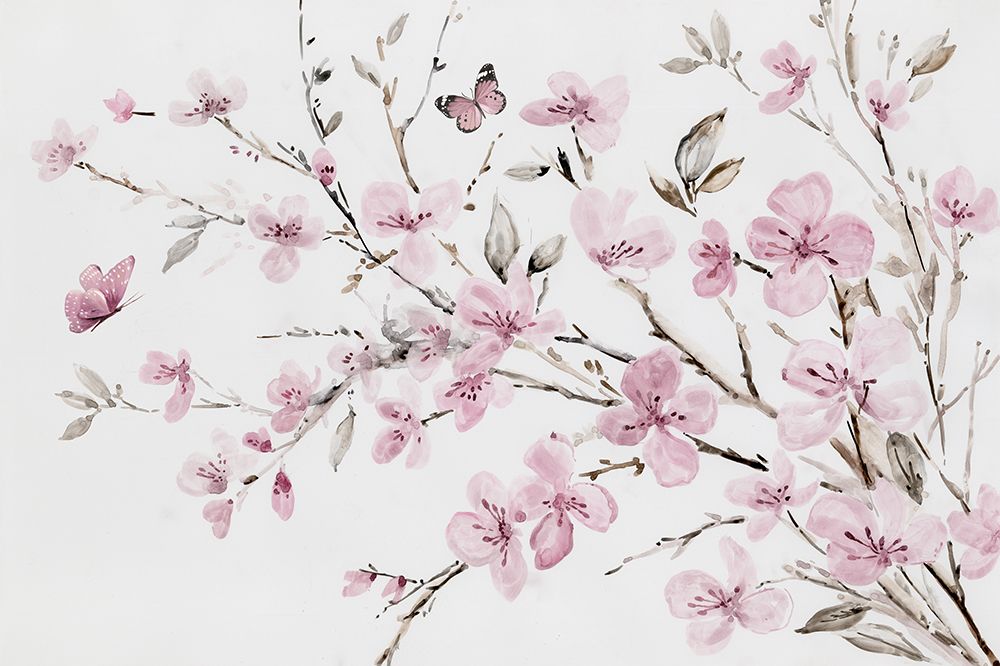 Flores Rosadas — Jensen, Asia