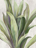 Folhagem Florescente II — Jensen, Asia