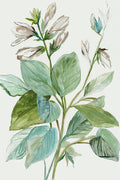 Folhas Verdejantes II — Jensen, Asia