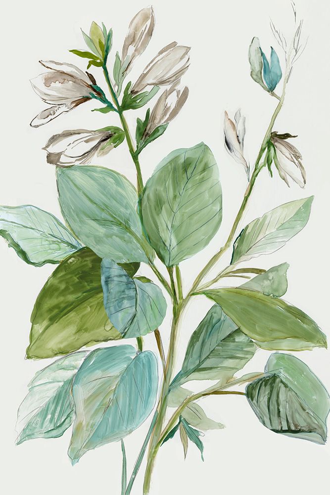 Folhas Verdejantes II — Jensen, Asia
