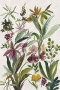 Verde Majestoso II — Jensen, Asia