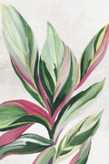 Folhas de Rosa II — Jensen, Asia