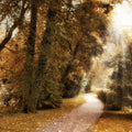 Luz da Floresta — Jenney, Jessica