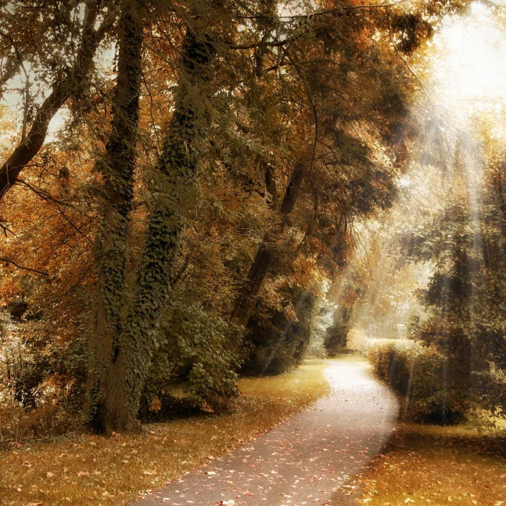 Luz da Floresta — Jenney, Jessica