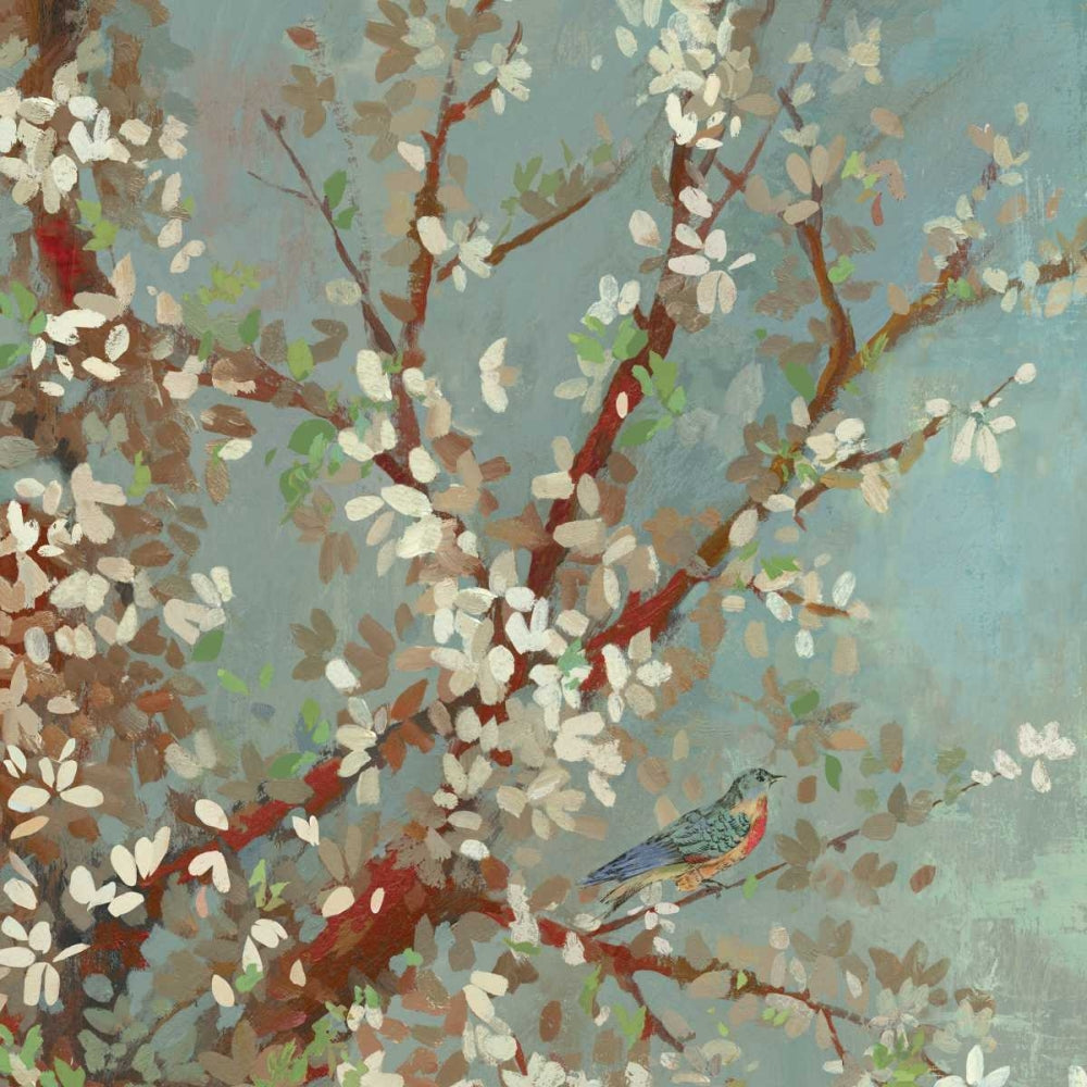 Brilhos de Sol I — Jensen, Asia