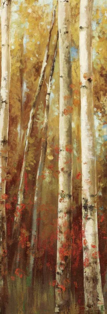 Floresta de Bétulas I — K, Ella