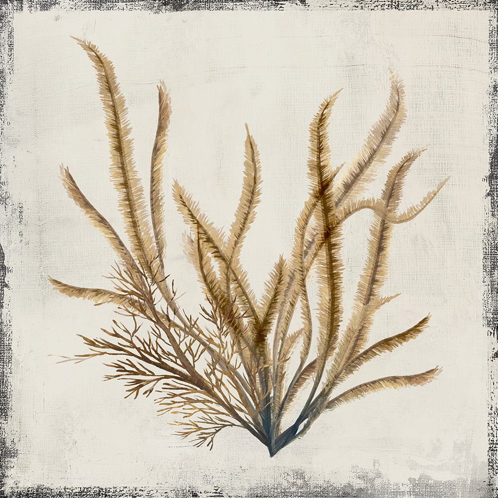 Coral Amarelo I — Lily K