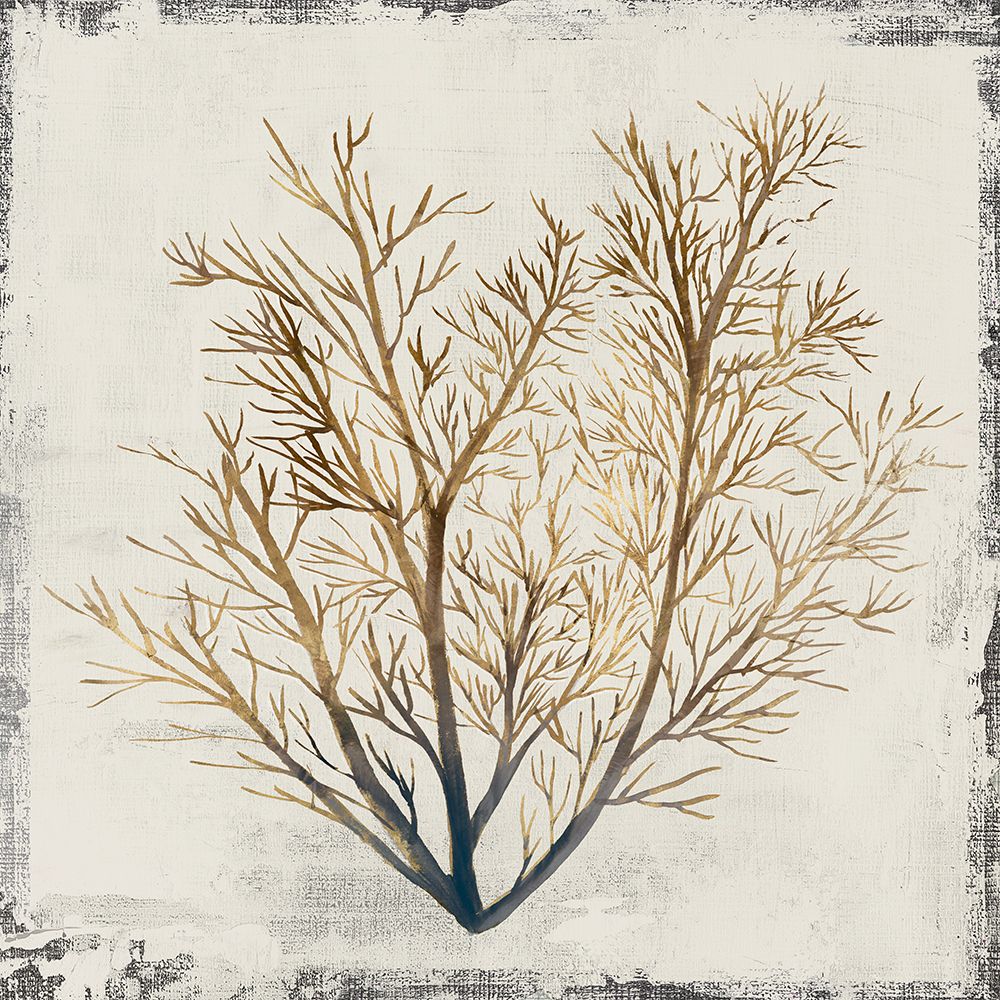 Coral Amarelo II — Lily K