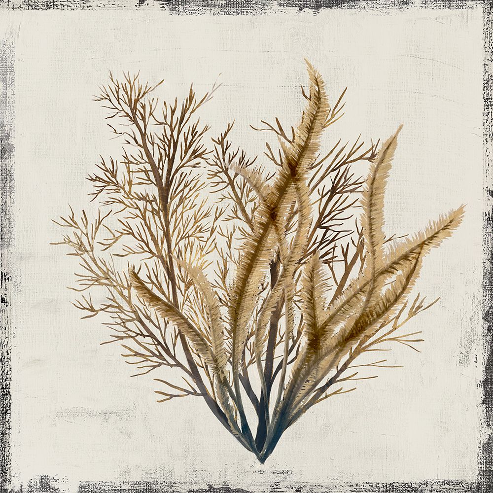 Coral Amarelo III — Lily K