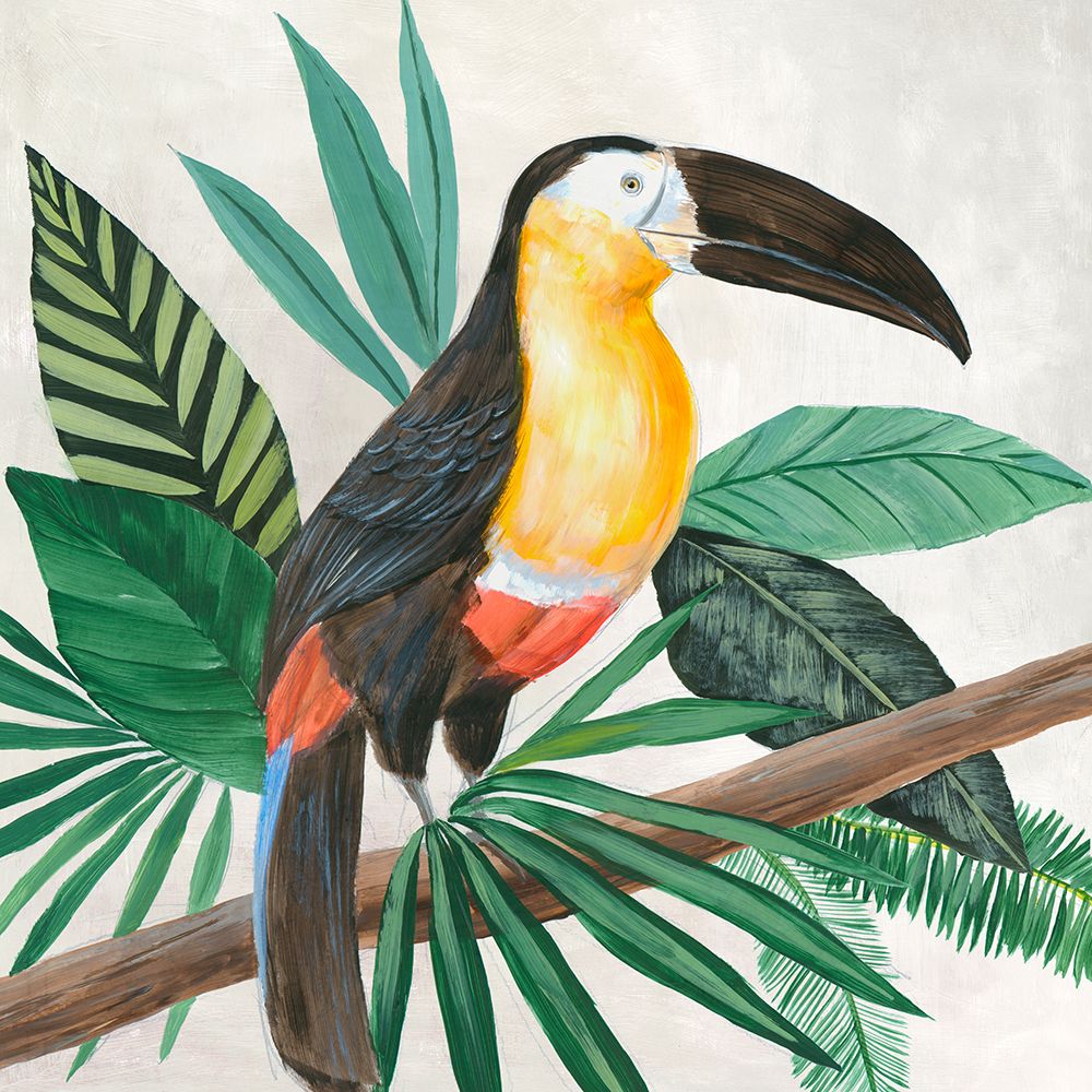 Aves Tropicais I — Lily K