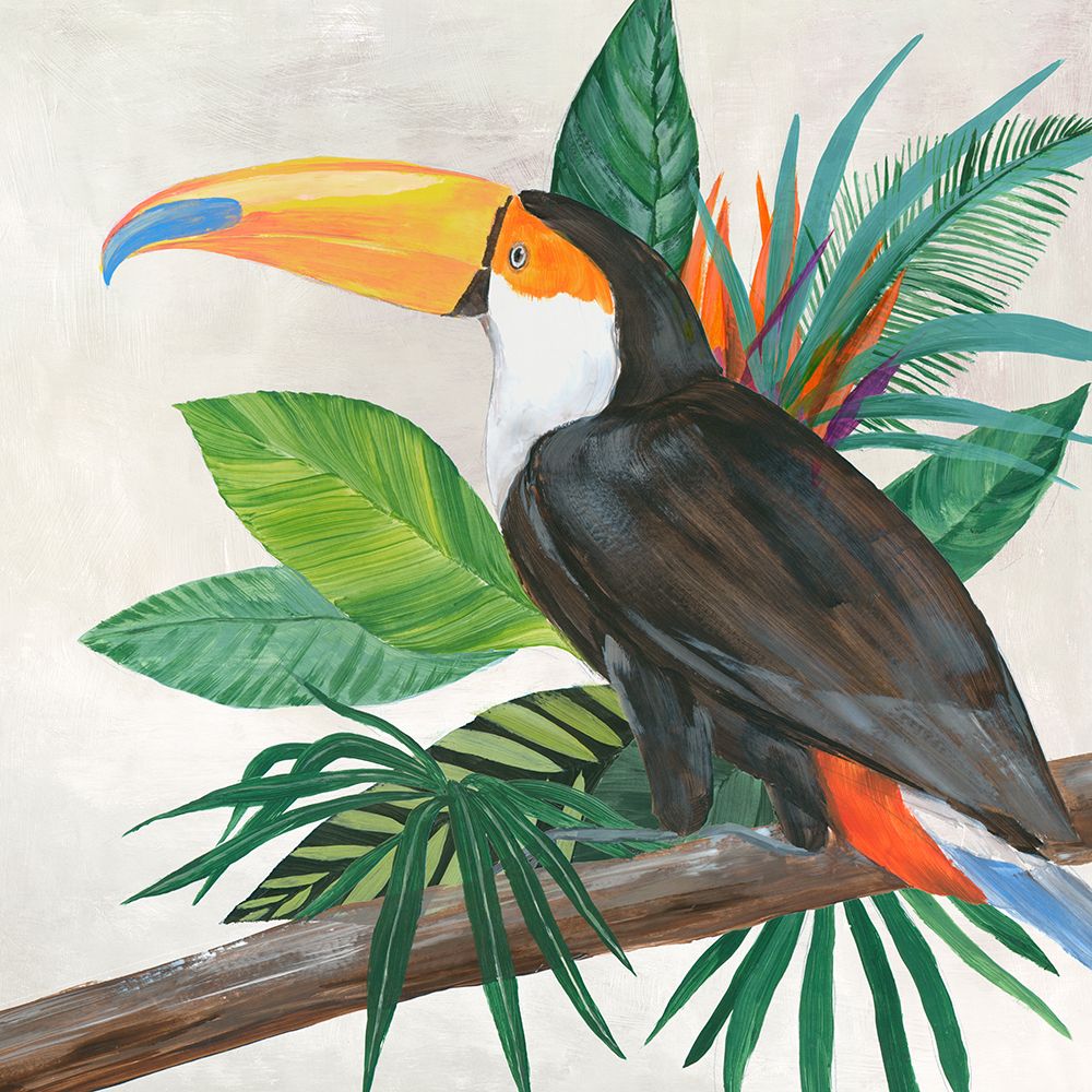 Aves Tropicais II — Lily K