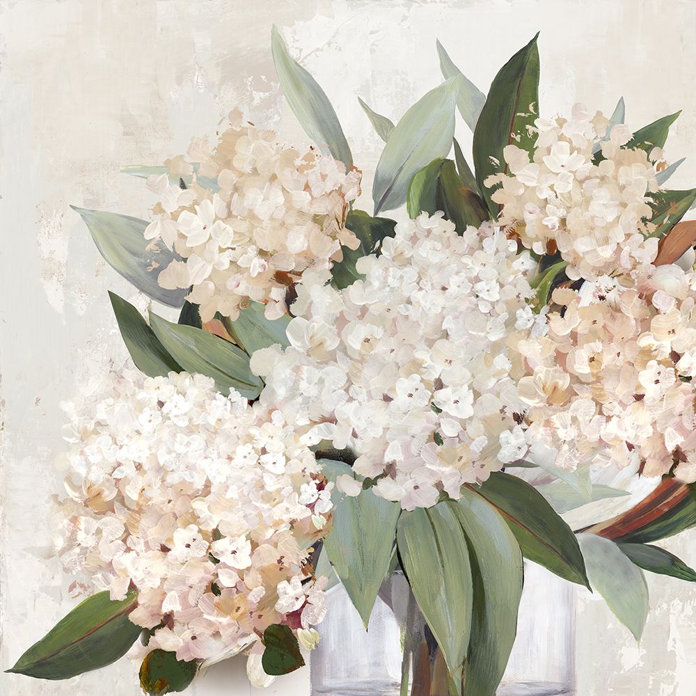 Hortênsias em Flor na Luz Suave — PI Studio