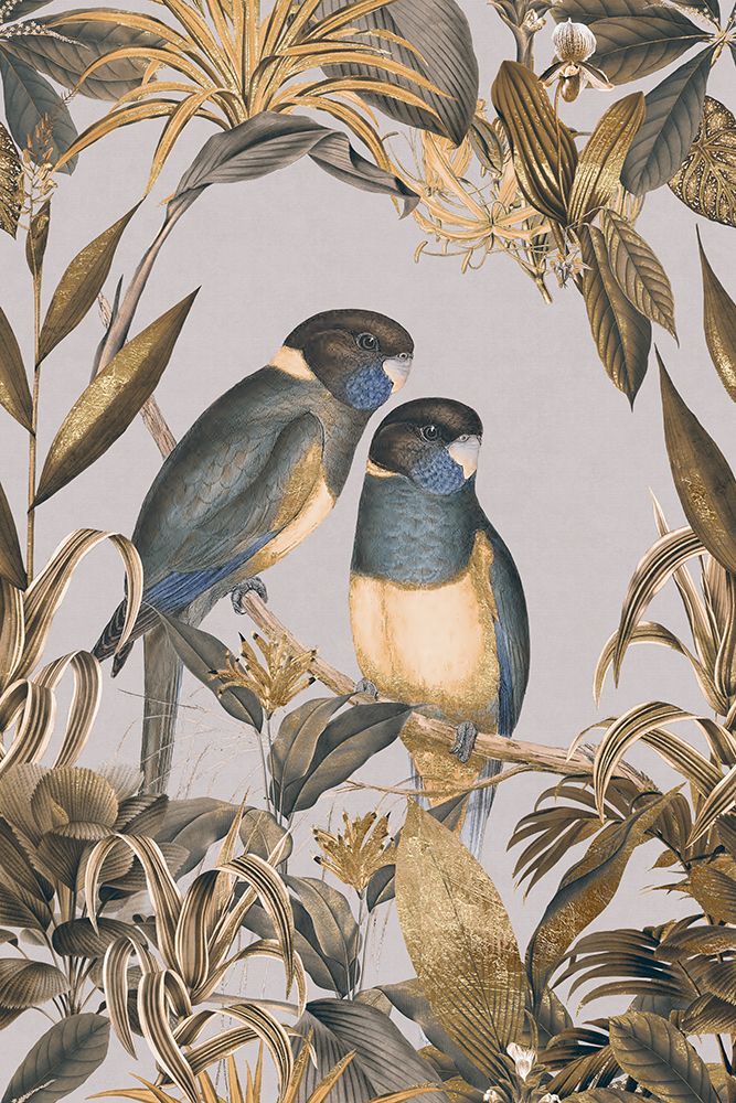 Periquitos Dourados na Ilha Exótica — Haase, Andrea