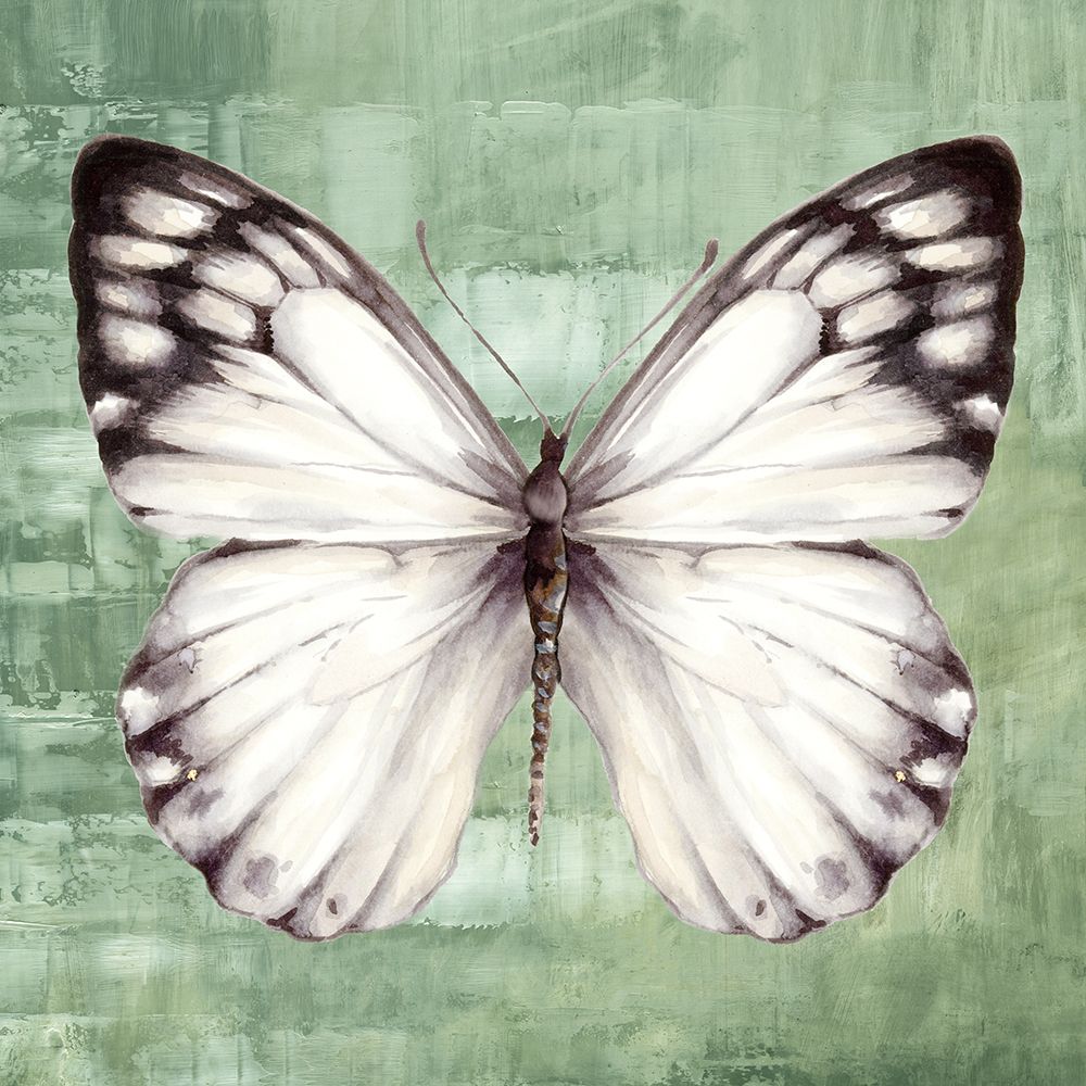 Borboleta Verde I — Jones, Eli