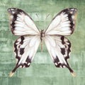 Borboleta Verde II — Jones, Eli