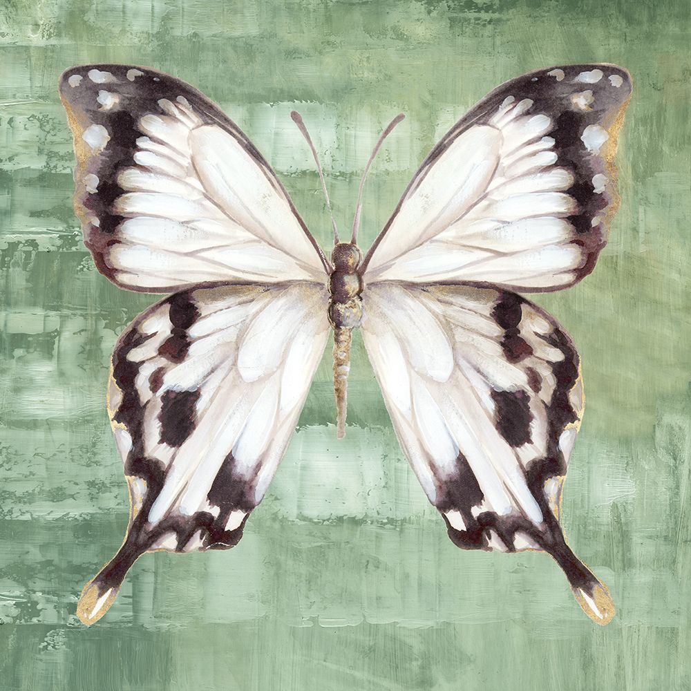 Borboleta Verde II — Jones, Eli