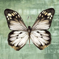 Borboleta Verde III — Jones, Eli
