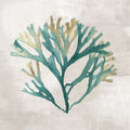 Melodias de Algas I — Jones, Eli