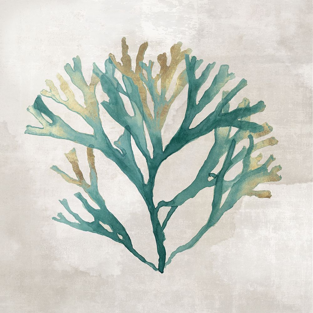 Melodias de Algas I — Jones, Eli