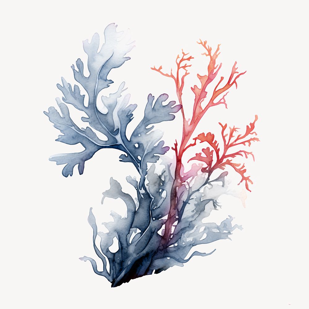 Flores do Oceano I — Roozbeh