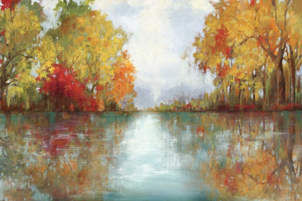 Reflexo da Floresta — PI Studio