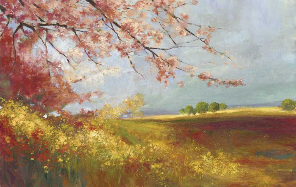 No Campo — PI Studio