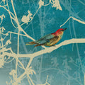 Pássaro Azul I — PI Studio