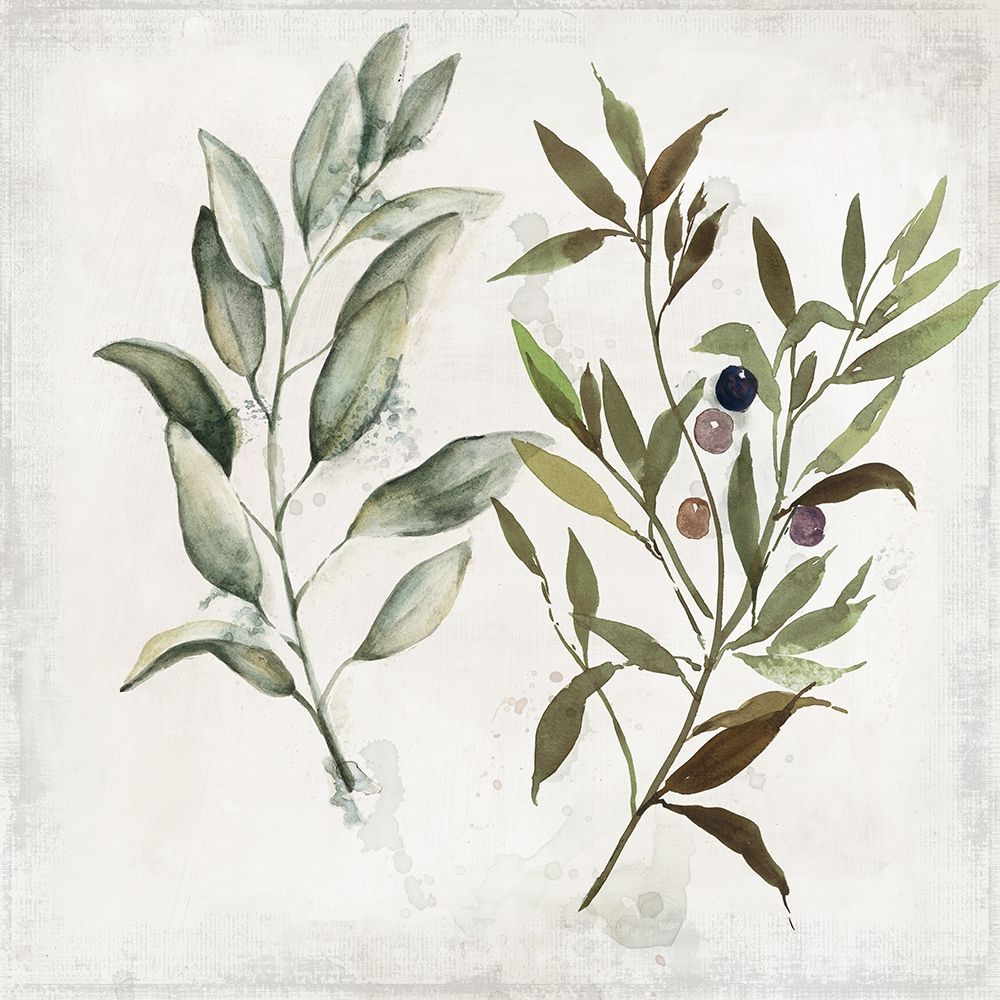 Tarde Italiana IV — PI Studio