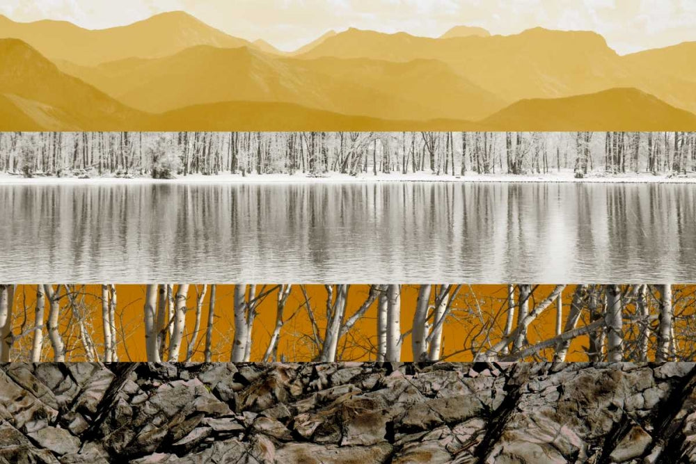 Colagem da Natureza I — PI Studio