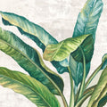 Devaneio Tropical — PI Studio