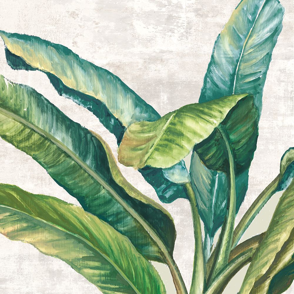 Devaneio Tropical — PI Studio