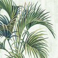 Vento Tropical II — PI Studio