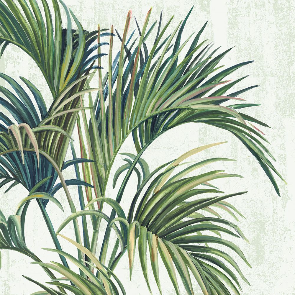 Vento Tropical II — PI Studio