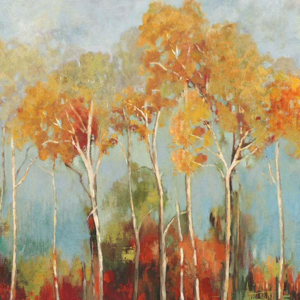 Em Primeiro Plano II — mini — Pearce, Allison