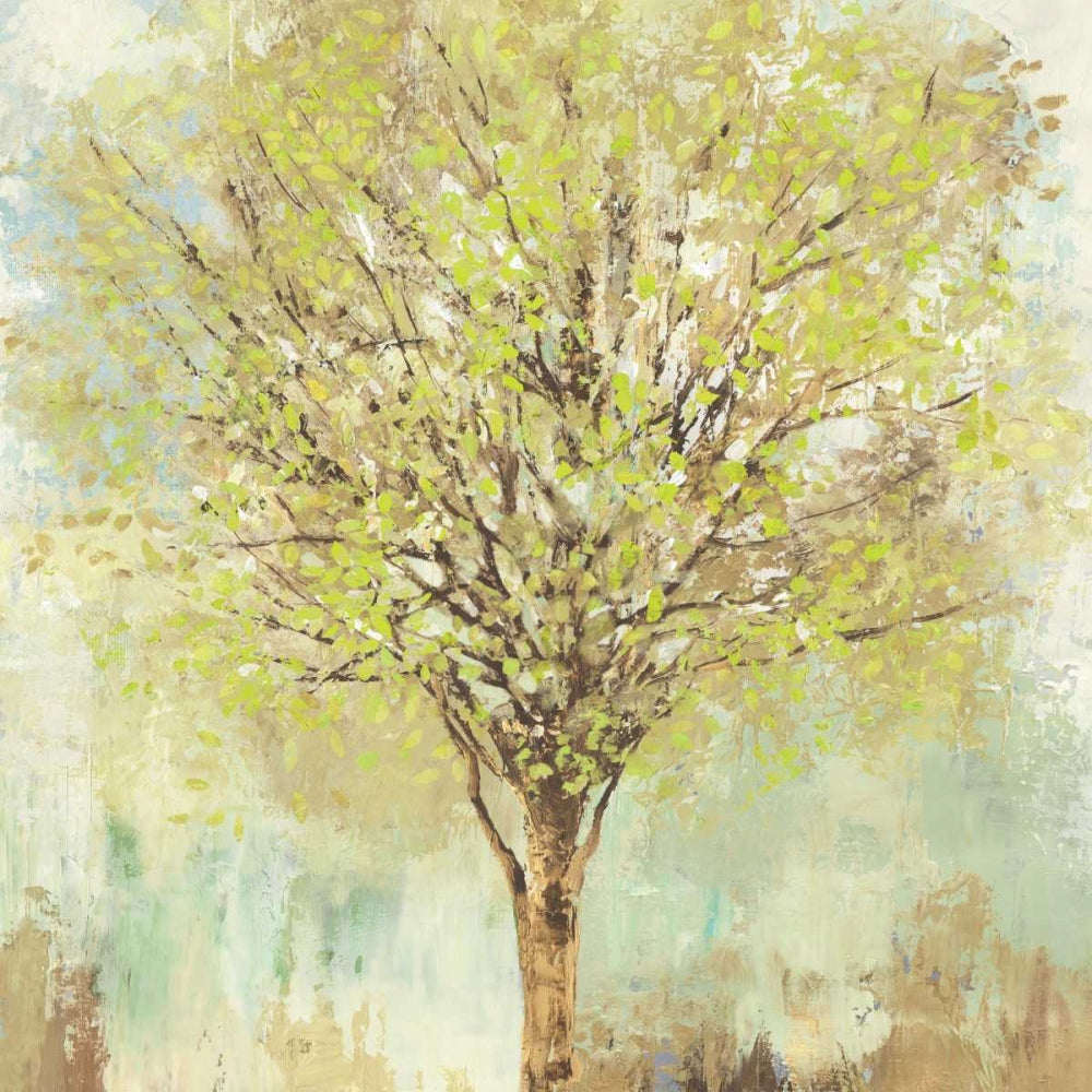 Árvore de Jade — Pearce, Allison