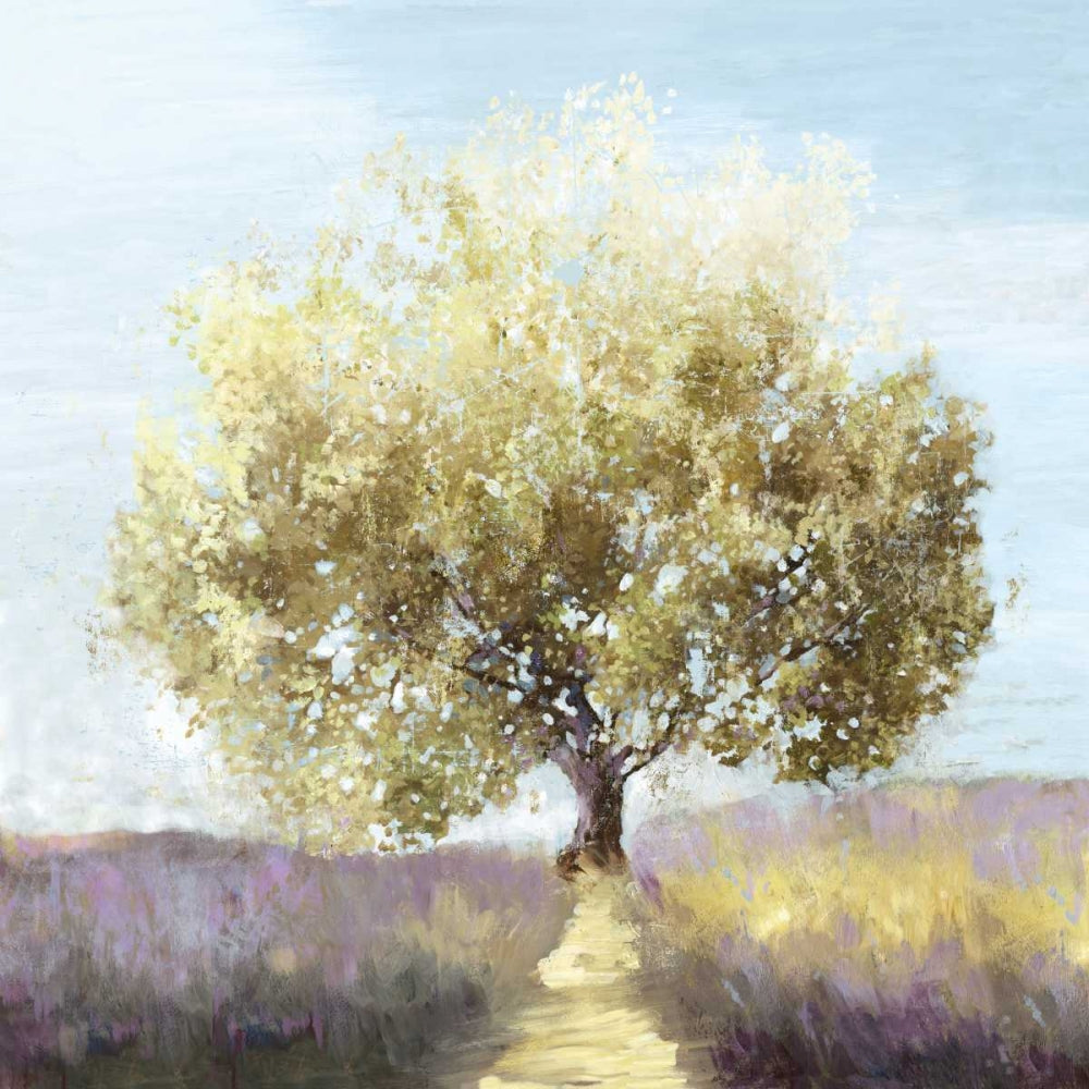 Província — Pearce, Allison