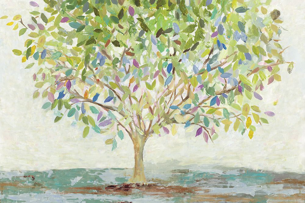 Oxigênio Colorido — Pearce, Allison