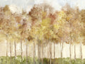 Floresta Amarela — Pearce, Allison