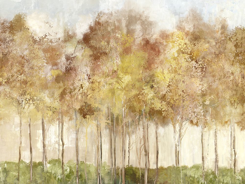 Floresta Amarela — Pearce, Allison
