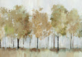 Floresta Ensolarada Árvores — Pearce, Allison